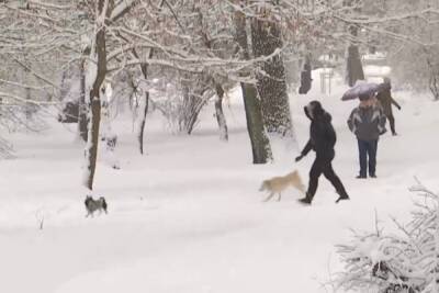 Снег и морозы придут в Украину на выходных: «Ожидается значительная опасность» - politeka.net - Украина - Киев