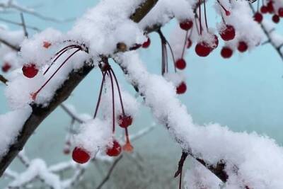 Потепление ожидается в Забайкалье днём 5 февраля - chita.ru - Чита