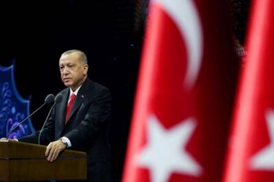 Реджеп Тайип Эрдоган - В Турции инициировали расследование по делу об оскорблении Эрдогана - aif - Турция - Стамбул