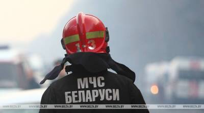 Два человека погибли за сутки при пожарах в Брестской области - belta.by - Белоруссия - Минск - Пинск - район Малоритский