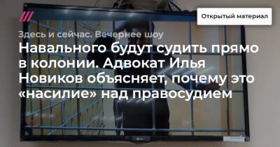 Илья Новиков - Игнат Артеменко - Навального будут судить прямо в колонии. Адвокат Илья Новиков объясняет, почему это «насилие» над правосудием - tvrain - Россия