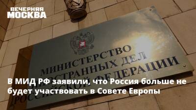 Владимир Путин - Дмитрий Биричевский - В МИД РФ заявили, что Россия больше не будет участвовать в Совете Европы - vm - Россия - Украина - Киев - ДНР - ЛНР - Европа