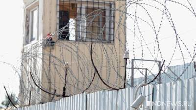 Зоя Осколкова - В Турции за год удвоилось число жалоб на пытки в тюрьмах - newdaynews.ru - Турция - Анкара