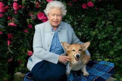 принц Уильям - Елизавета II - принц Чарльз - Елизавета Королева - принц Филипп - Королева Елизавета II перестала выгуливать собак из-за слабого здоровья - versia - Англия
