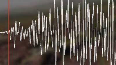 Землетрясение магнитудой 5,4 произошло на Камчатке - mir24.tv - Армения - Камчатский край - Петропавловск-Камчатский