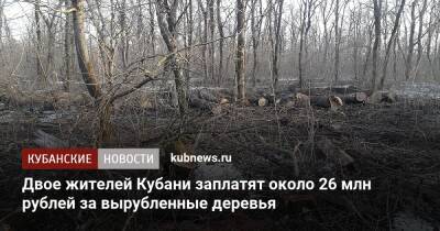 Двое жителей Кубани заплатят около 26 млн рублей за вырубленные деревья - kubnews.ru - Краснодарский край - Кубань - Апшеронск