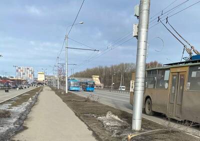 Вандалы сломали деревья на Московском шоссе - ya62.ru - Рязань