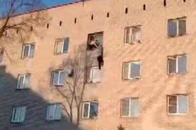 Женщина разбилась при падении из окна общежития в Новосибирске - tayga.info - Новосибирск