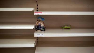 В странах Прибалтики начался продовольственный кризис - ivbg.ru - Россия - Украина - Белоруссия - Турция - Эстония - Польша - Литва - Рига - Латвия - Прибалтика