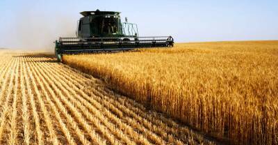 Світовий банк попередив про дефіцит зерна в ряді країн через війну в Україні - rusjev.net - Молдавия - Пакистан
