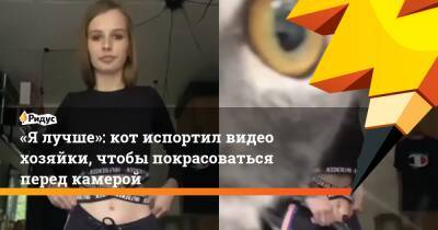 «Я лучше»: кот испортил видео хозяйки, чтобы покрасоваться перед камерой - ridus.ru