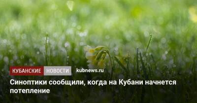Синоптики сообщили, когда на Кубани начнется потепление - kubnews.ru - Краснодарский край - Краснодар