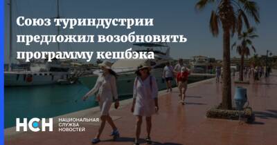 Юрий Барзыкин - Союз туриндустрии предложил возобновить программу кешбэка - nsn - Россия