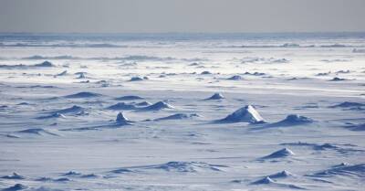 В Антарктиде температура воздуха на 40 градусов превысила норму — это новый абсолютный рекорд - rus.delfi.lv - Англия - Антарктида - Латвия