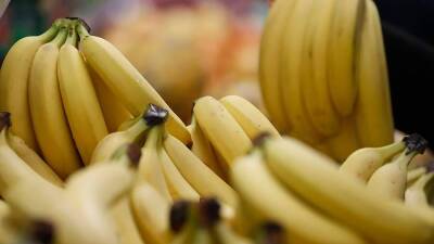 Джозеф Байден - WSJ сообщила о невозможности поставок бананов из Эквадора из-за санкций - smartmoney.one - Москва - Россия - США - Украина - Эквадор - Брюссель - Парагвай - Москва