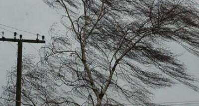 Усиление ветра прогнозируют завтра в Луганске: объявлено штормовое предупреждение - cxid.info - Луганск