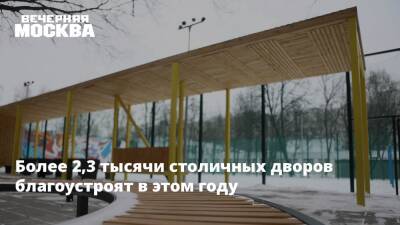 Петр Бирюков - Более 2,3 тысячи столичных дворов благоустроят в этом году - vm - Москва - Благоустройство