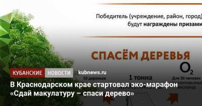 В Краснодарском крае стартовал эко-марафон «Сдай макулатуру – спаси дерево» - kubnews.ru - Краснодарский край