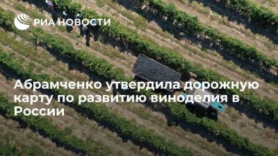 Виктория Абрамченко - Вице-премьер Абрамченко утвердила дорожную карту по развитию виноделия в России - smartmoney.one - Россия
