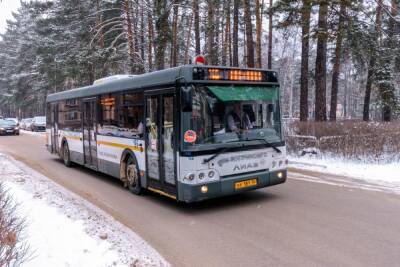Три пассажира получили травмы в саровском автобусе из-за резкого торможения - vgoroden.ru - Нижегородская обл.