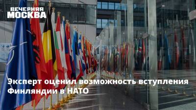 Саули Ниинисте - Олаф Шольц - Эксперт оценил возможность вступления Финляндии в НАТО - vm - Россия - Украина - Грузия - Германия - Финляндия