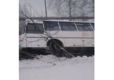 В Липецкой области перевернулся автобус с пассажирами - 7info.ru - Липецкая обл.