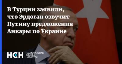 Владимир Путин - Тайип Эрдоган - Эрдоган - В Турции заявили, что Эрдоган озвучит Путину предложения Анкары по Украине - nsn - Россия - Украина - Турция - Анкара
