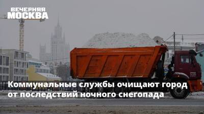 Коммунальные службы очищают город от последствий ночного снегопада - vm - Москва