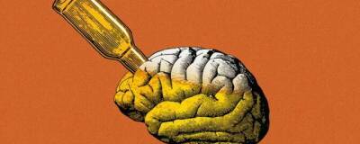 Американские учёные считают, что употребление алкоголя приводит к уменьшению объёма мозга - runews24.ru - шт.Пенсильвания