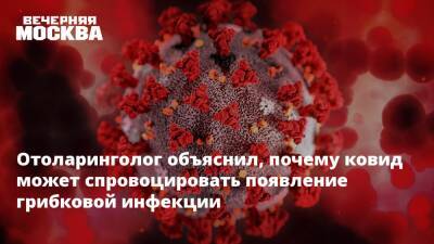 Николай Крючков - Владимир Зайцев - Отоларинголог объяснил, почему ковид может спровоцировать появление грибковой инфекции - vm