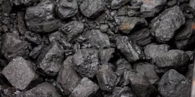 Нашли альтернативы. Японская Kyushu Electric Power не будет покупать российский уголь в этом году - biz.nv.ua - Россия - Украина - Япония