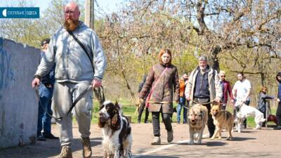 В Одессе учат домашних собак искать взрывчатку | Новости Одессы - odessa-life.od.ua - Украина - Одесса