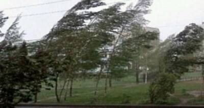 На Луганск надвигается шторм с грозой. Скорость ветра до 72 км в час - cxid.info - Луганск