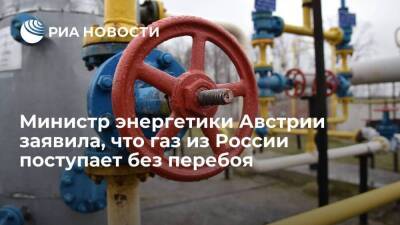 Владимир Путин - Австрия - Министр энергетики Австрии Гевесслер заявила, что газ из России поступает без перебоев - smartmoney.one - Австрия - Россия - Польша - Вена