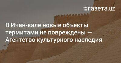 В Ичан-кале новые объекты термитами не повреждены — Агентство культурного наследия - gazeta.uz - Узбекистан