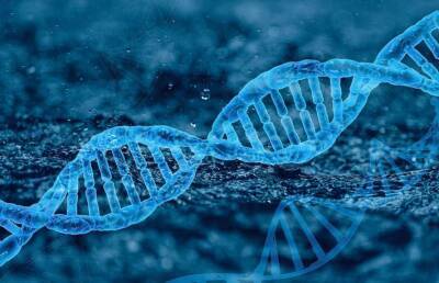 Ученые впервые собрали воедино весь геном человека (Фото) - lenta.ua - США - Украина - шт. Мэриленд