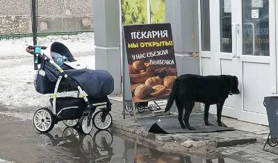 В Тюмени около пекарни оставили коляску с малышом - nashgorod.ru - Тюмень
