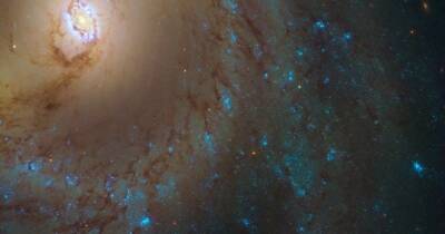 Внутреннее кольцо Млечного Пути: астрономы нашли ранее неизвестную область галактики - focus.ua - Украина