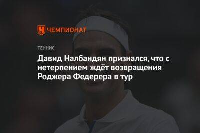 Роджер Федерер - Давид Налбандян признался, что с нетерпением ждёт возвращения Роджера Федерера в тур - championat.com - Аргентина