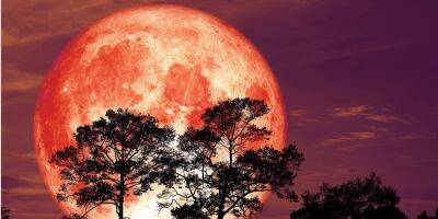 Полное лунное затмение 2022. Когда наступит «Кровавая Луна» и на что она повлияет - nv.ua - Украина - Киев