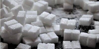 Украина передумала запрещать экспорт сахара и проса. Введут лицензирование - biz.nv.ua - Россия - Украина