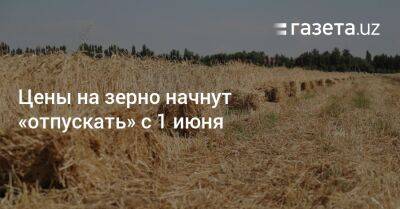 Шавкат Мирзиеев - Шерзод Асадов - Цены на зерно начнут «отпускать» с 1 июня - gazeta.uz - Узбекистан