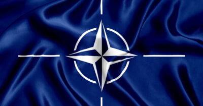 Алар Карис - Швеция - Как Россия может ответить на вступление Финляндии и Швеции в НАТО: прогноз президента Эстонии - dsnews.ua - Россия - Украина - Эстония - Швеция - Финляндия