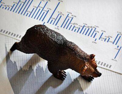 О, этот медвежий, медвежий рынок - smartmoney.one