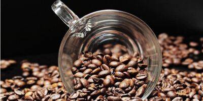 Норвегия - Все, кроме одного. Ученые выяснили, какие виды кофе повышают холестерин - nv.ua - Норвегия - Украина
