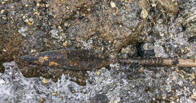 В Норвегии нашли хорошо сохранившуюся стрелу с перьями возрастом 1500 лет (фото) - focus.ua - Норвегия - Украина