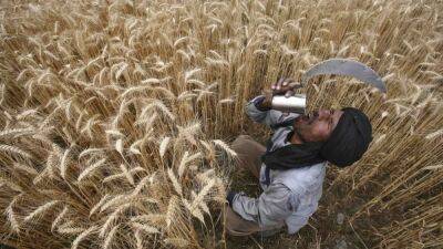 Индия на фоне роста цен ввела запрет на экспорт пшеницы - svoboda.org - Россия - Украина - Индия