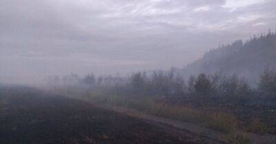 С начала года в Латвии зарегистрировано уже 160 лесных пожаров - rus.delfi.lv - Латвия