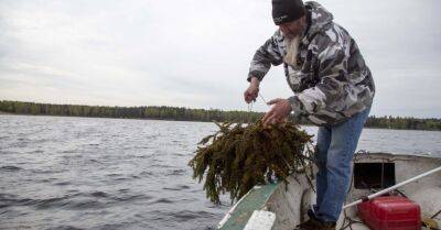 ФОТО: В Даугаве ставят искусственные гнезда для нереста рыб - rus.delfi.lv - Латвия - Facebook