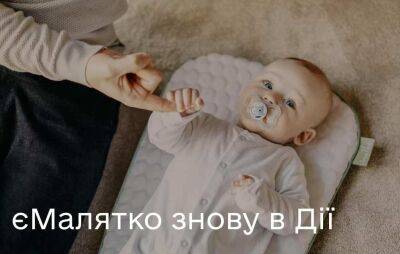 На портале «Дія» снова заработала услуга «е-Малятко» - odessa-life.od.ua - Украина